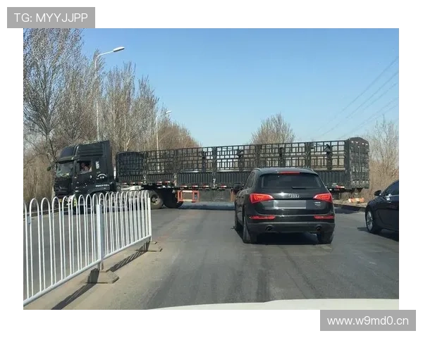 美媒称三球左转未让直行致车祸